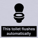 this-toilet-flushes-automatically~